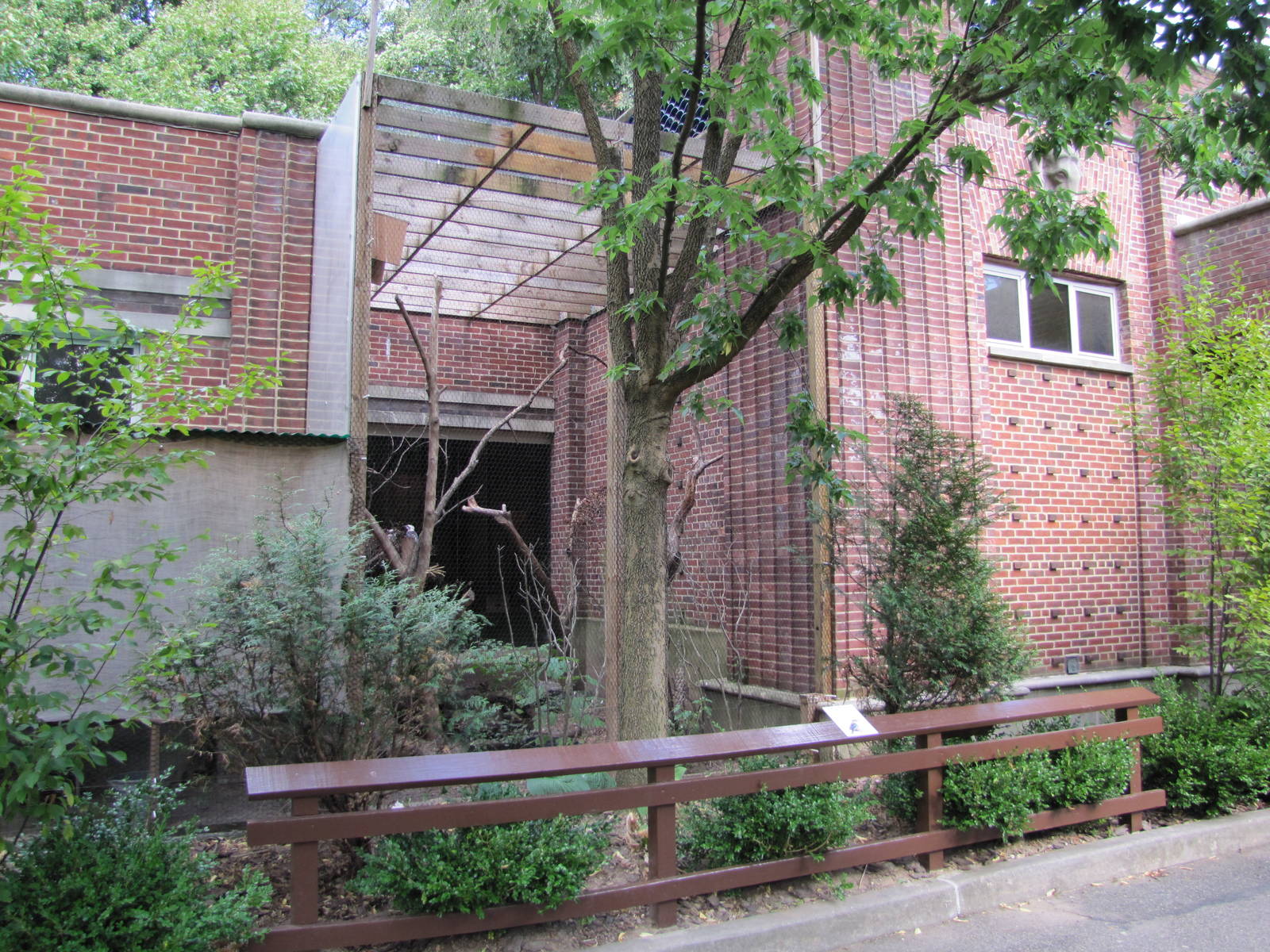 Prospect Park Zoo 2010 - Kookaburra aviary