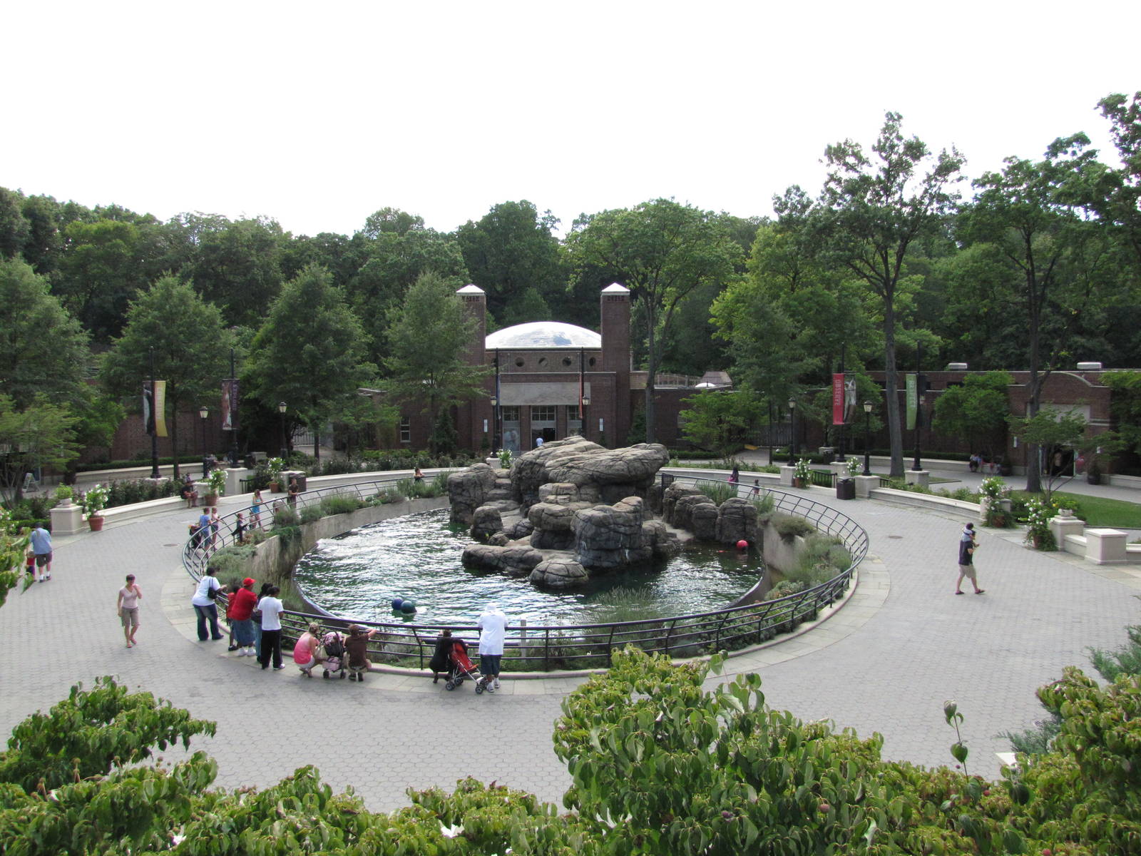 Prospect Park Zoo 2010 - Overview of Sea Lion Pool and Center Court