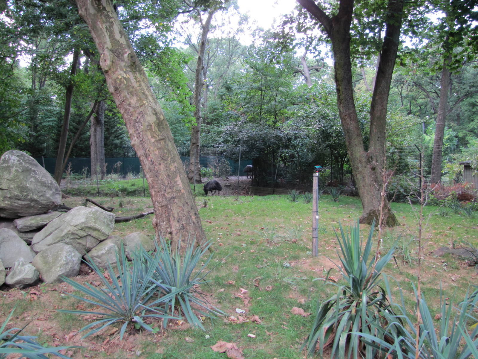 Prospect Park Zoo 2010 - Part of Mixed Australian enclosure