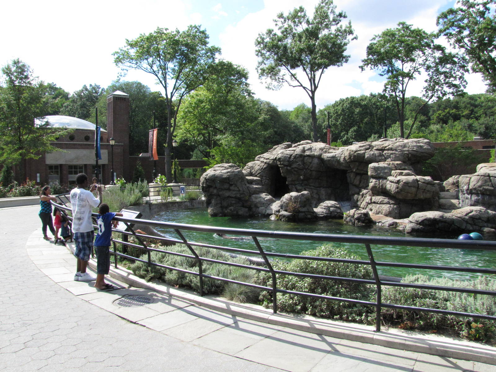 Prospect Park Zoo 2010 - Part of Sea Lion Pool in Center Court