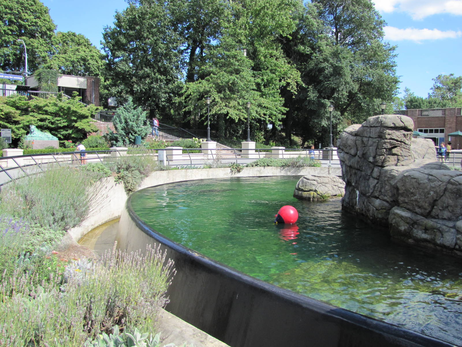 Prospect Park Zoo 2010 - Part of Sea Lion Pool in Center Court