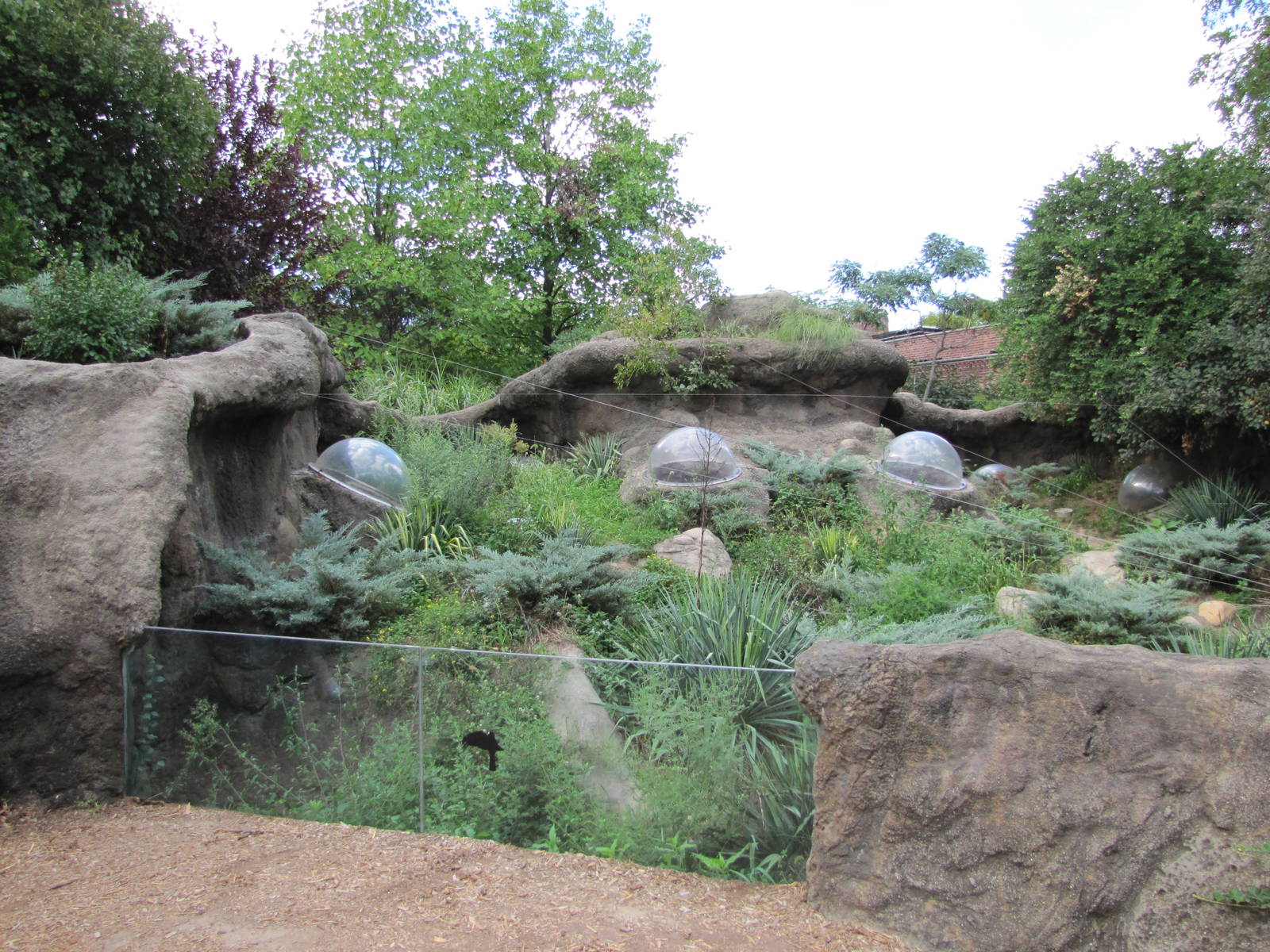 Prospect Park Zoo 2010 - Prairie Dog exhibit in Discovery Trail