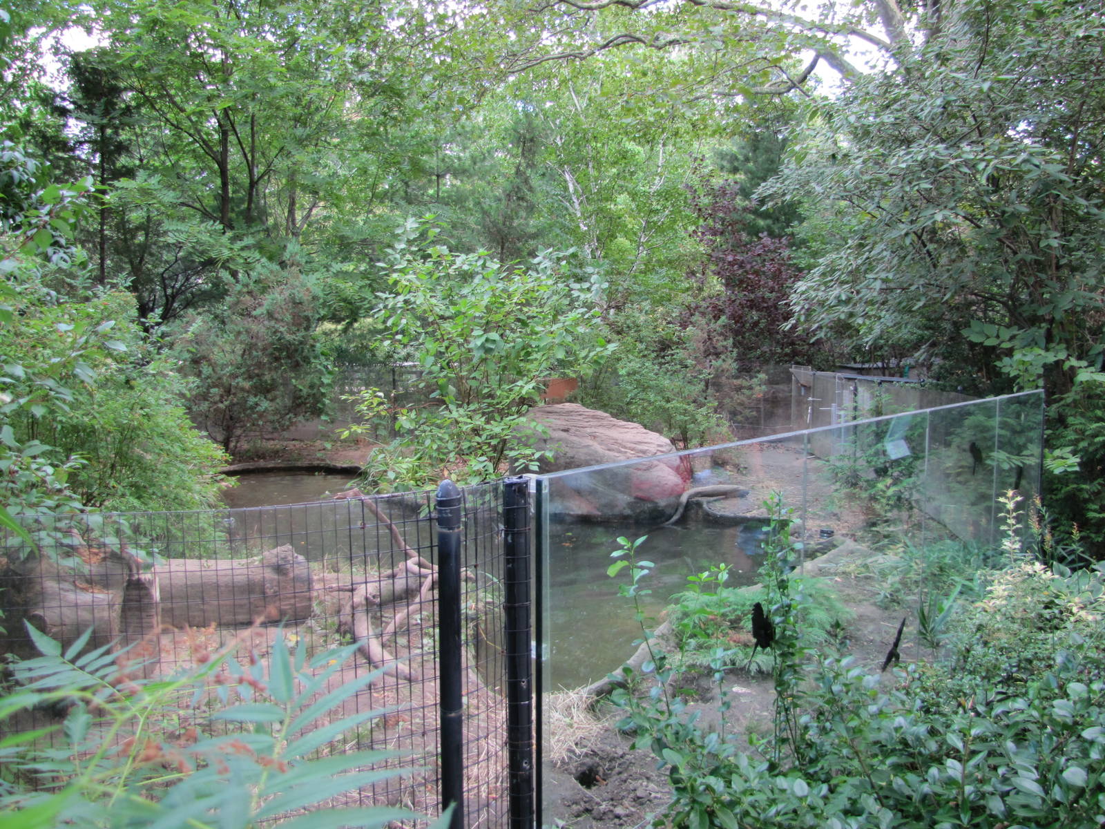Prospect Park Zoo 2010 - River Otter exhibit in Discovery Trail