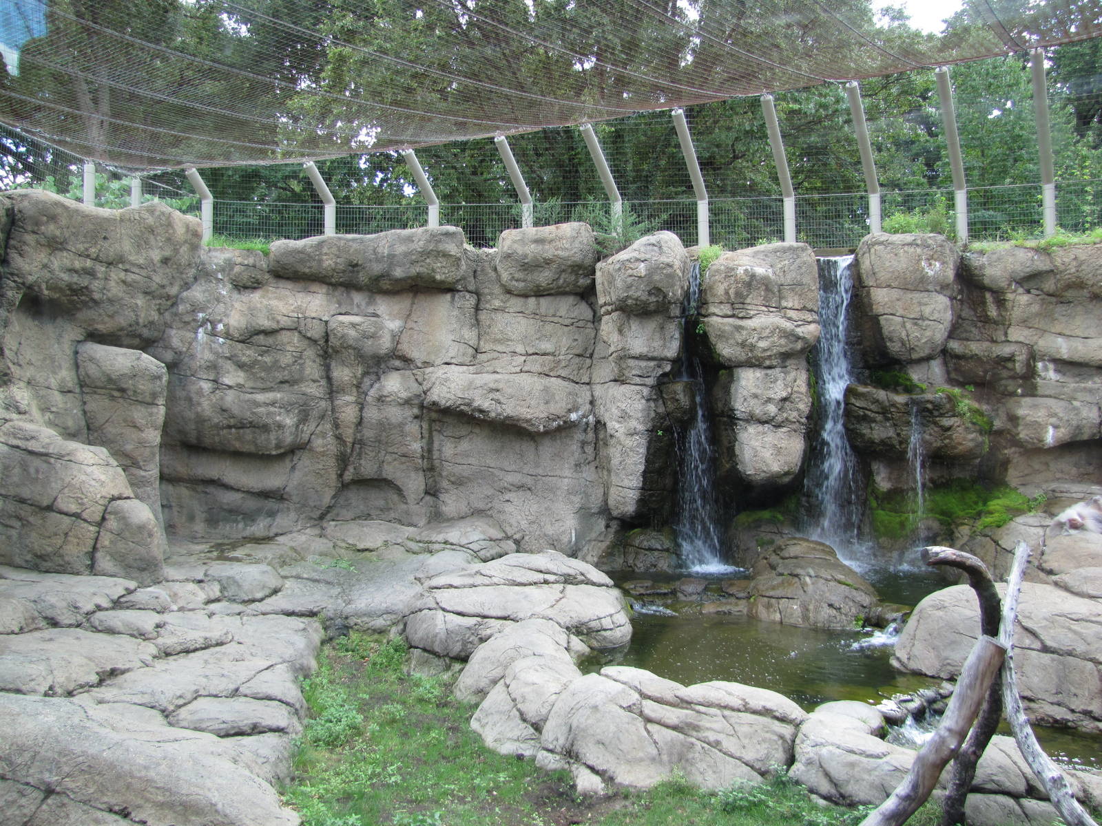 Prospect Park Zoo 2010 - Third part of Hamadryas Baboon exhibit