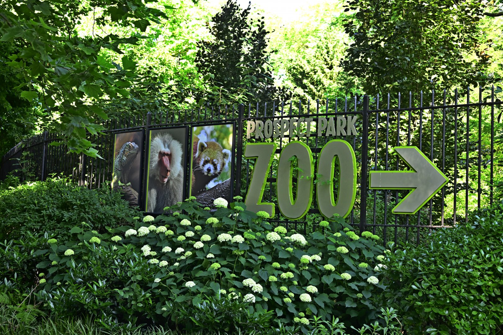 Prospect Park Zoo - Children's Corner Entrance Sign