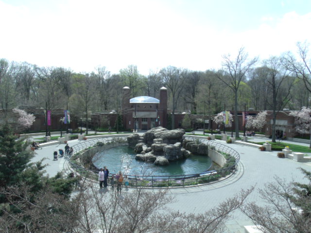 Prospect Park Zoo (Part 2)