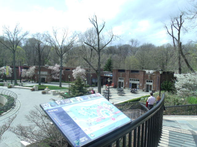 Prospect Park Zoo (Part 3)