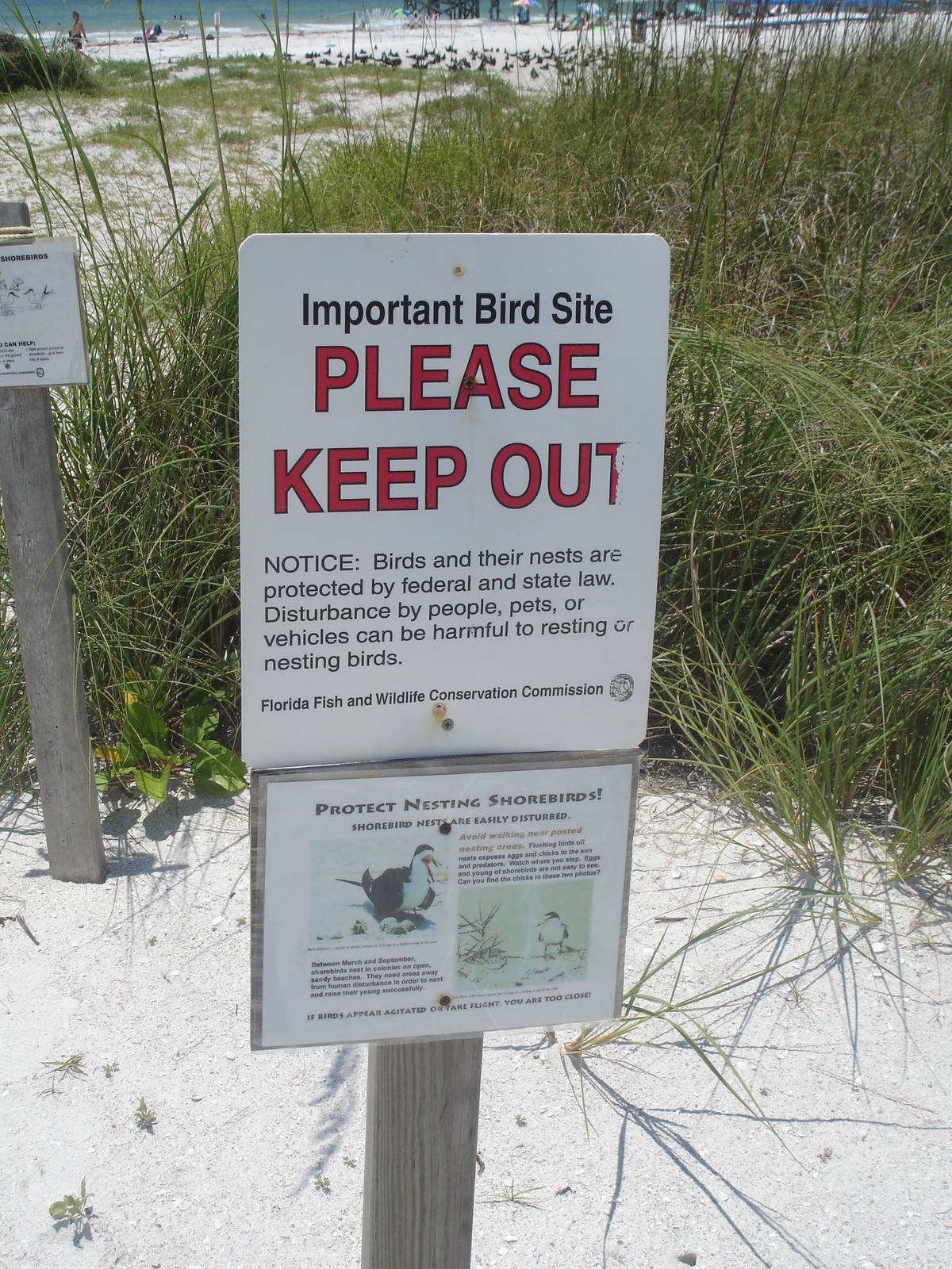 Protected nesting site - adjacent to sanctuary