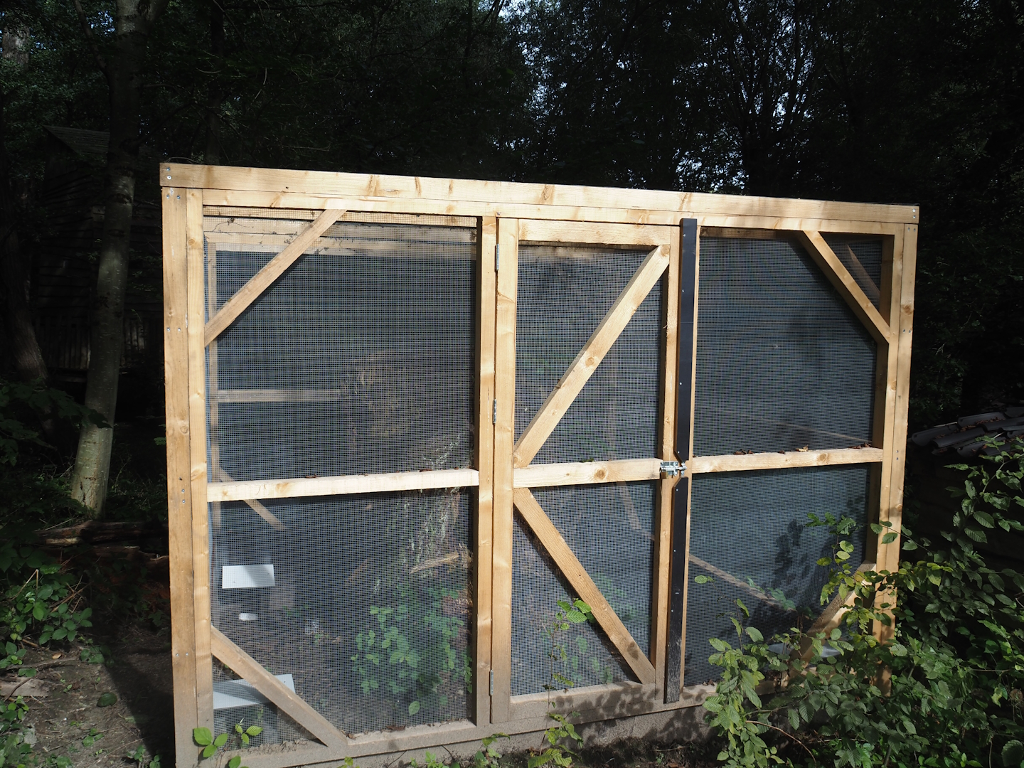 Protective casing around tree stump housing the only Dutch population of the Hermit beetle (Osmoderma eremita), 2024-08-21