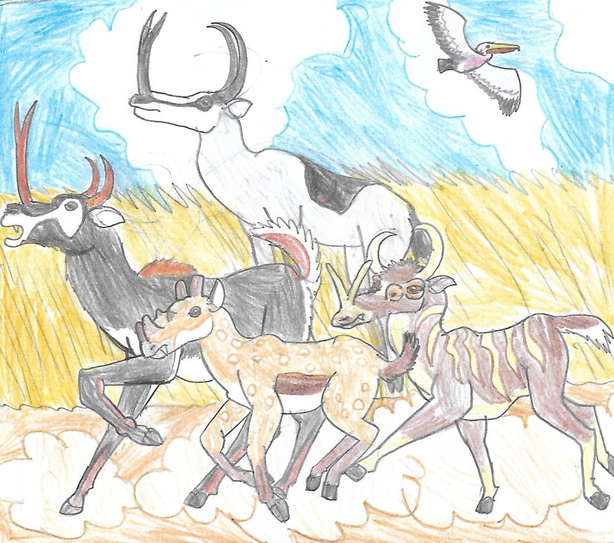 Protoceratid Prairie