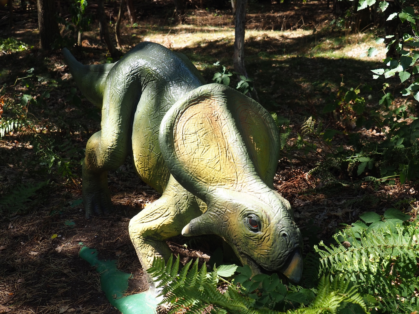 Protoceratops model