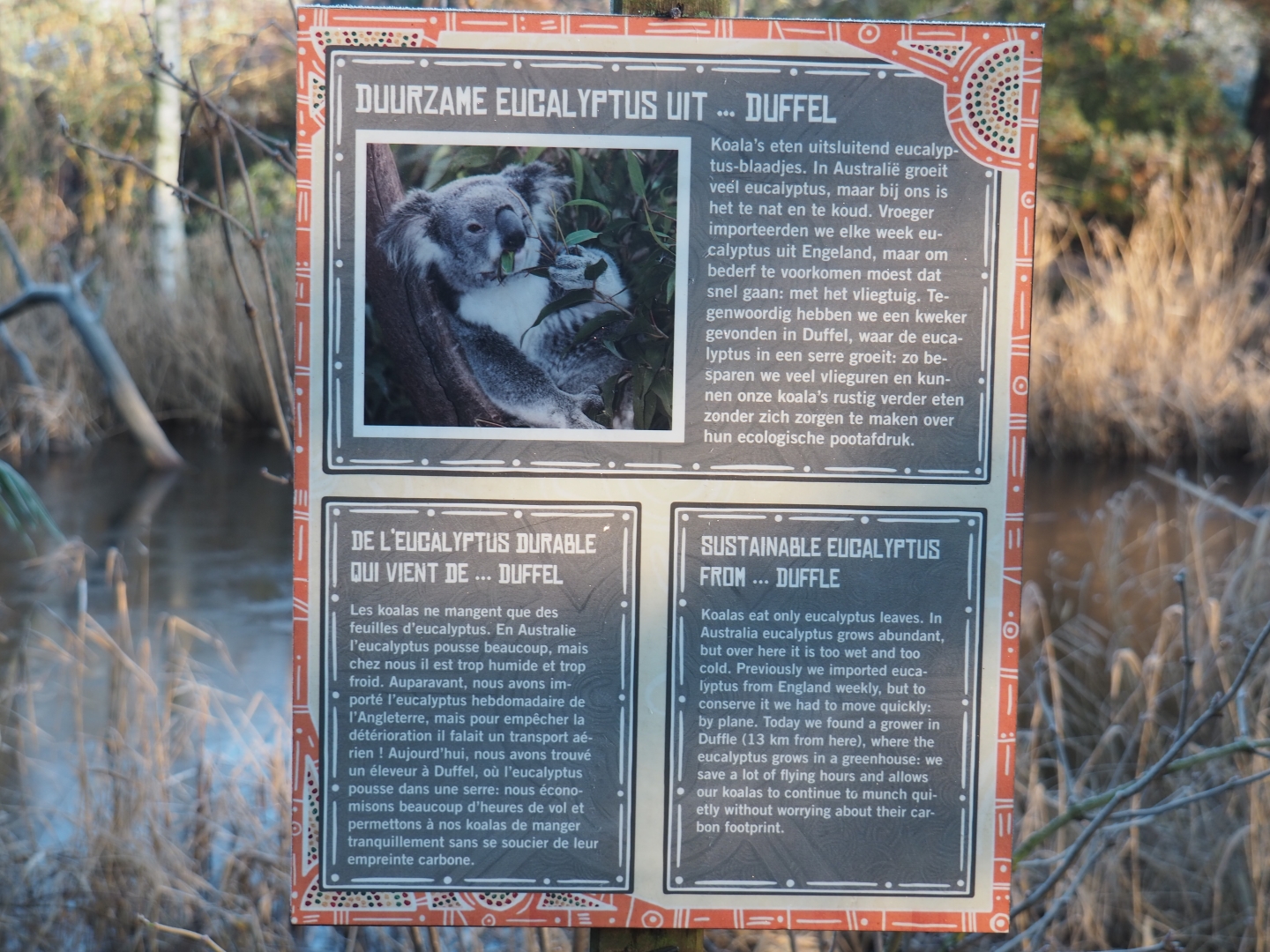 Provenance of the eucalyptus for Planckendael's koalas sign (Jan 20th, 2019)