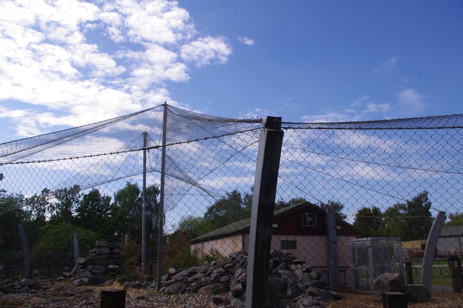 Province of the Snow cat- 3/6/2022