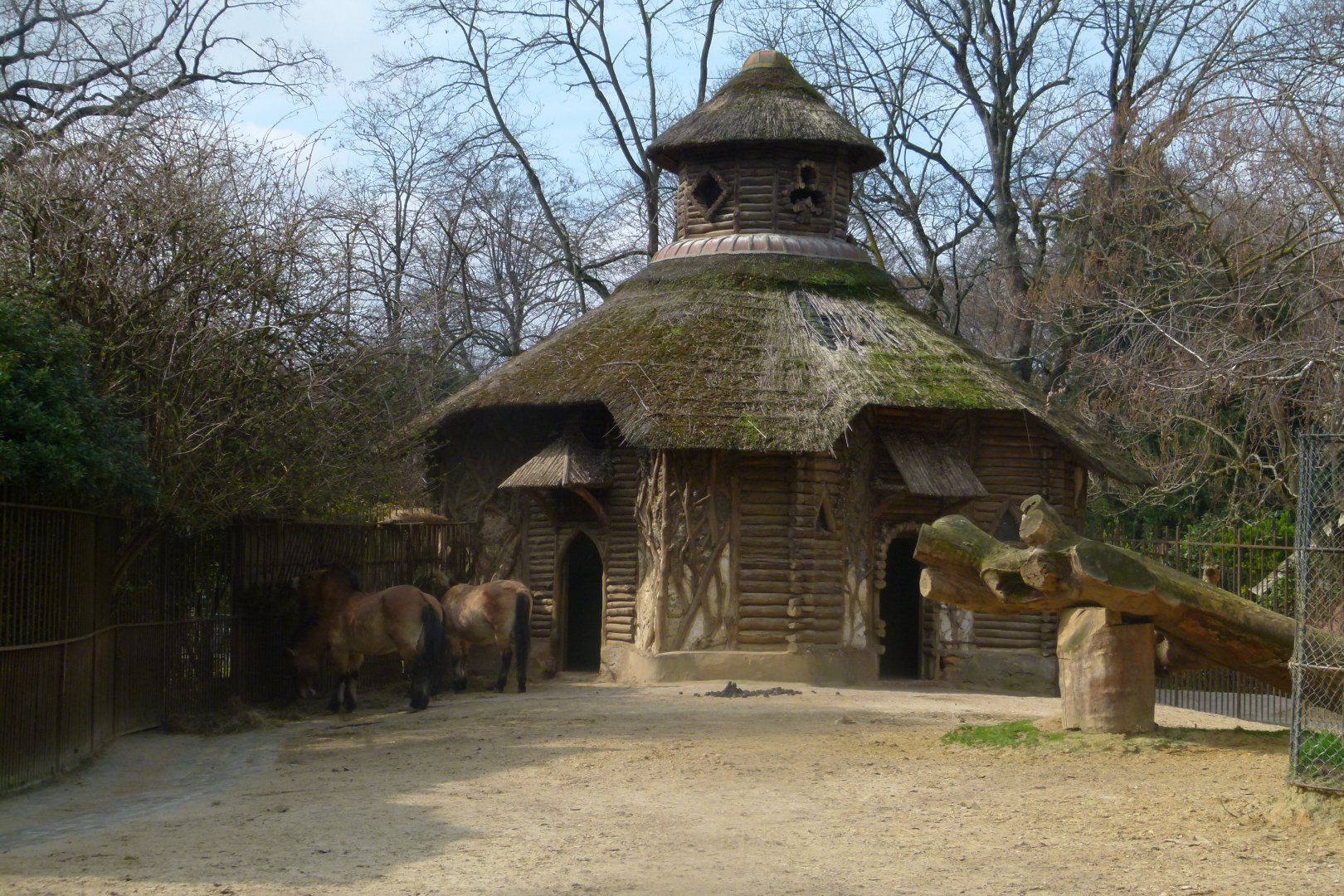 Przewalski Horse enclosure