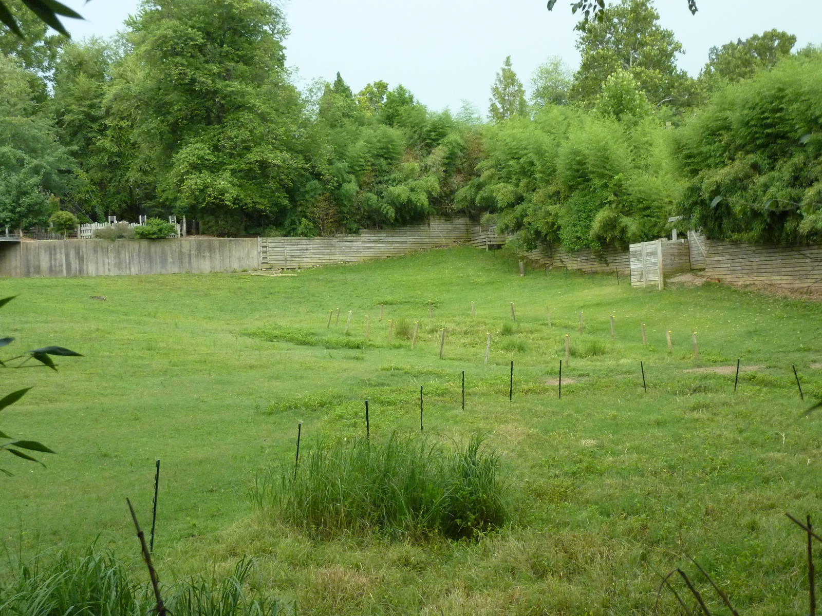 Przewalski's Horse/Axis Deer/Reeves' Muntjac Exhibit