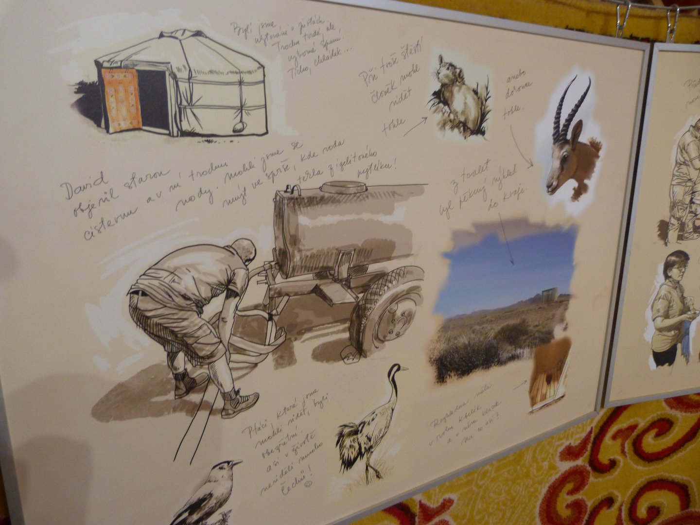 Przewalski's horse conservation yurt illustration -Zoo Praha (2025)