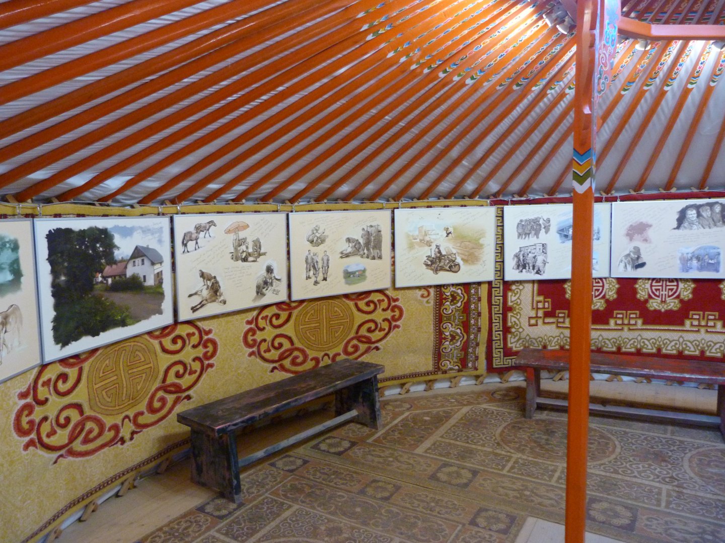 Przewalski's horse conservation yurt -Zoo Praha (2025)