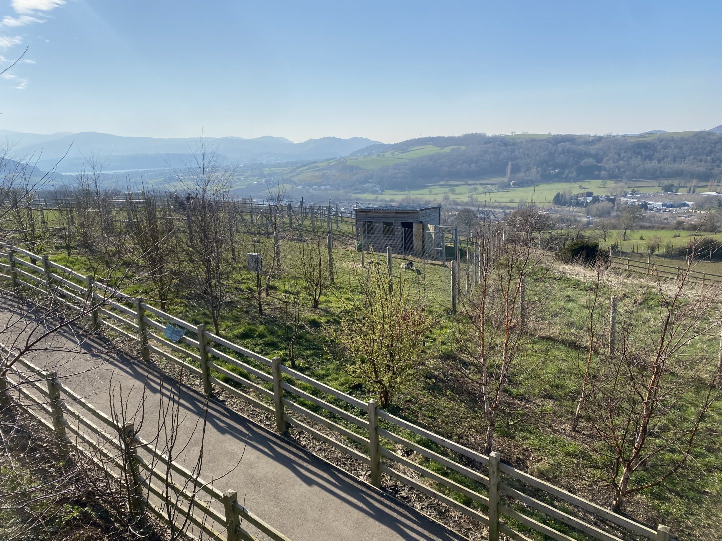Przewalski’s horse enclosure 190325