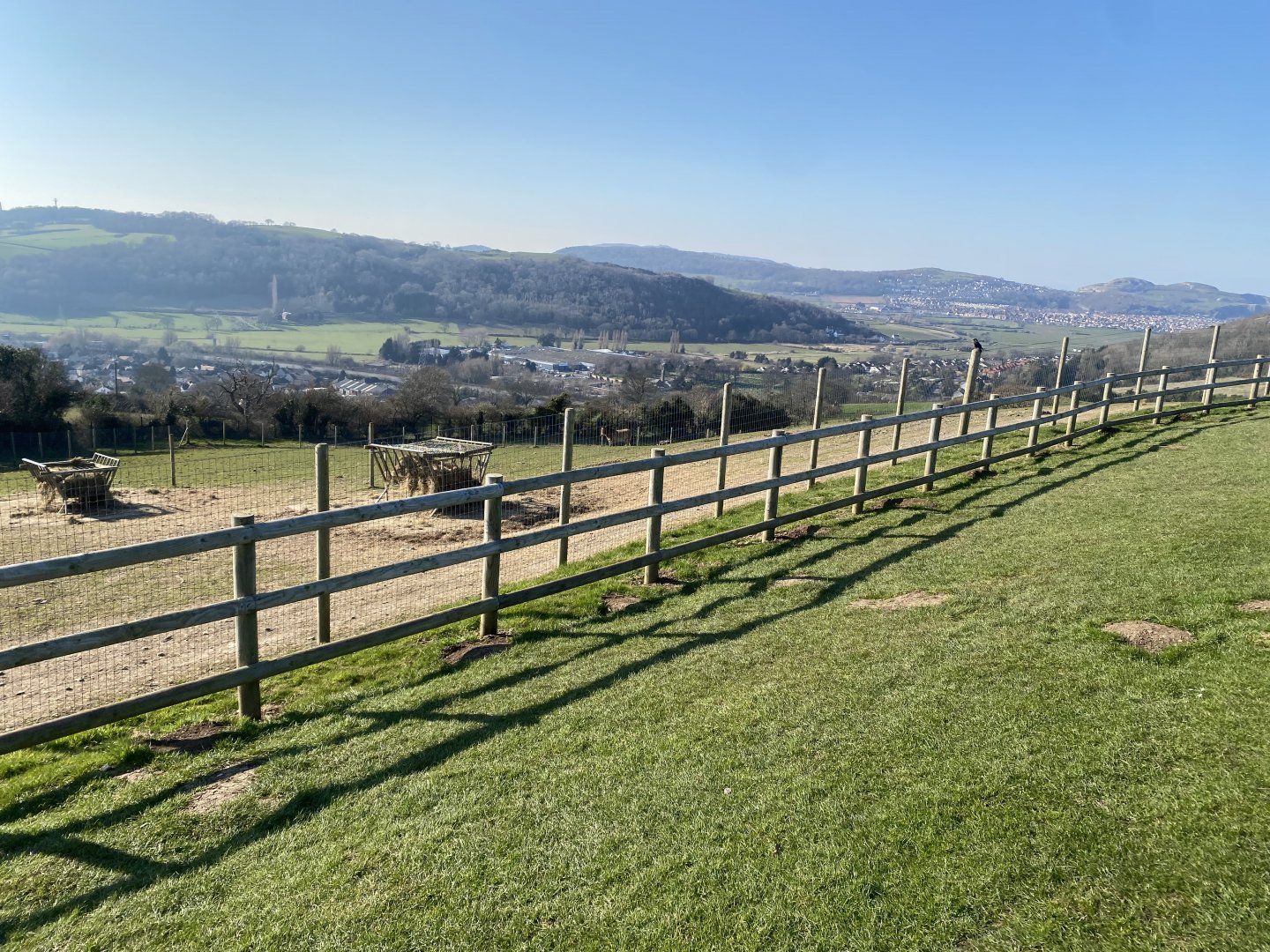 Przewalski’s horse enclosure 190325