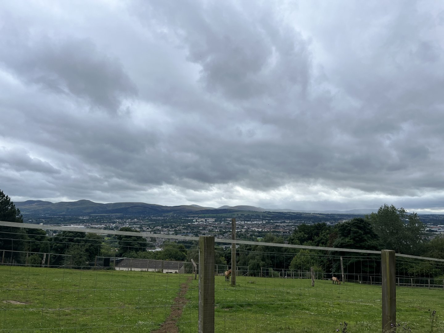 Przewalski’s horse enclosure and view 19.7.24