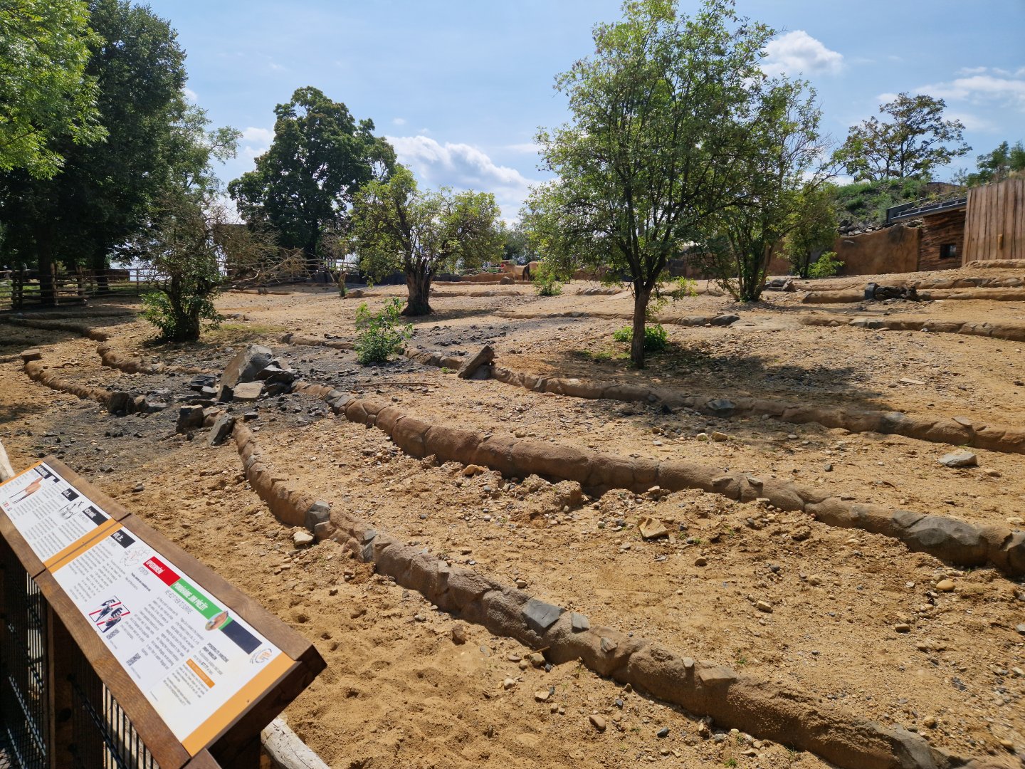 Przewalski's horse enclosure