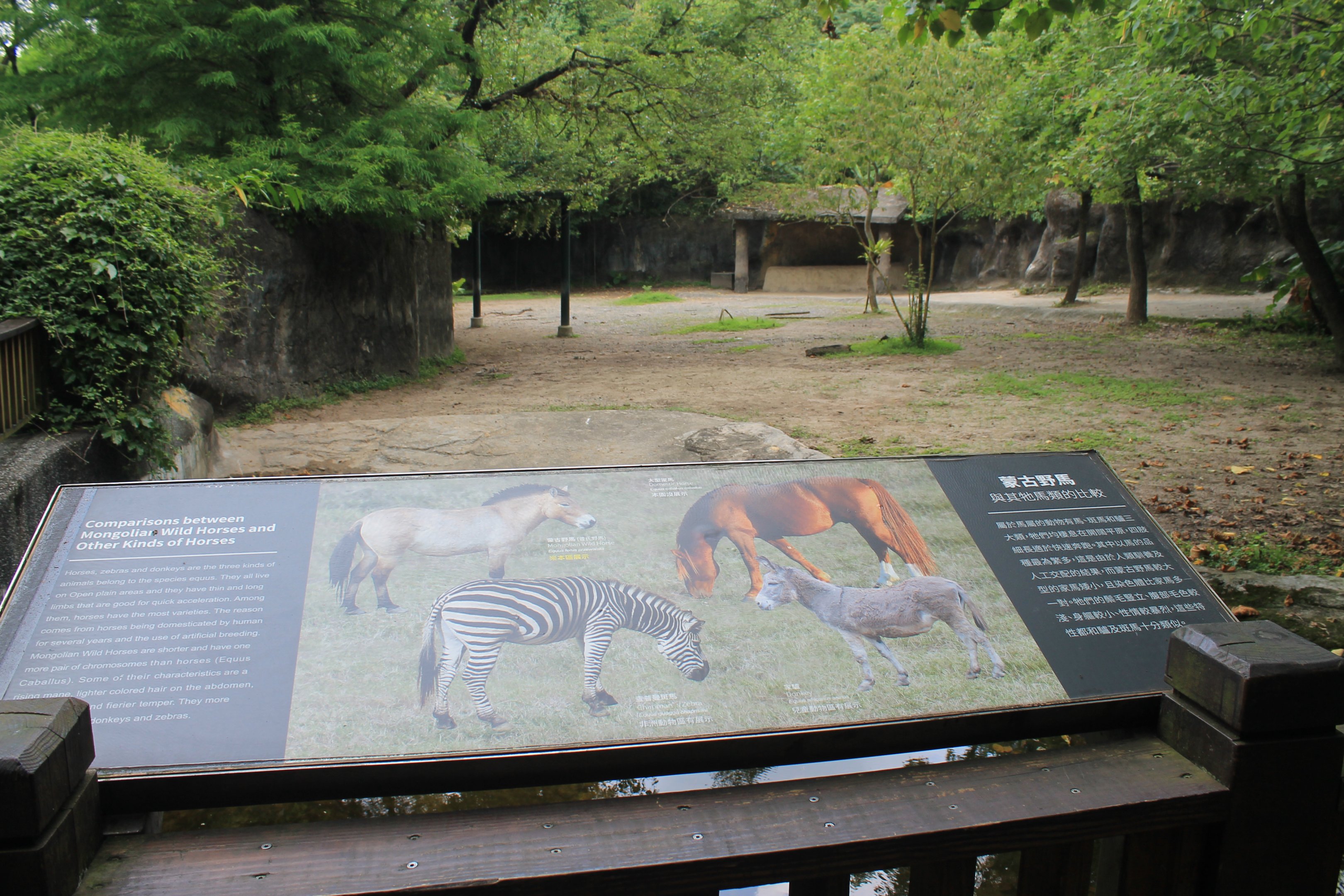 Przewalski's Horse (Equus przewalskii) signage