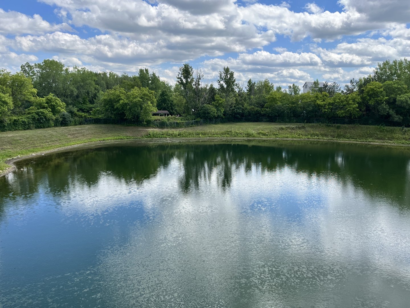 Przewalski’s Horse Exhibit from the Treetop Trail