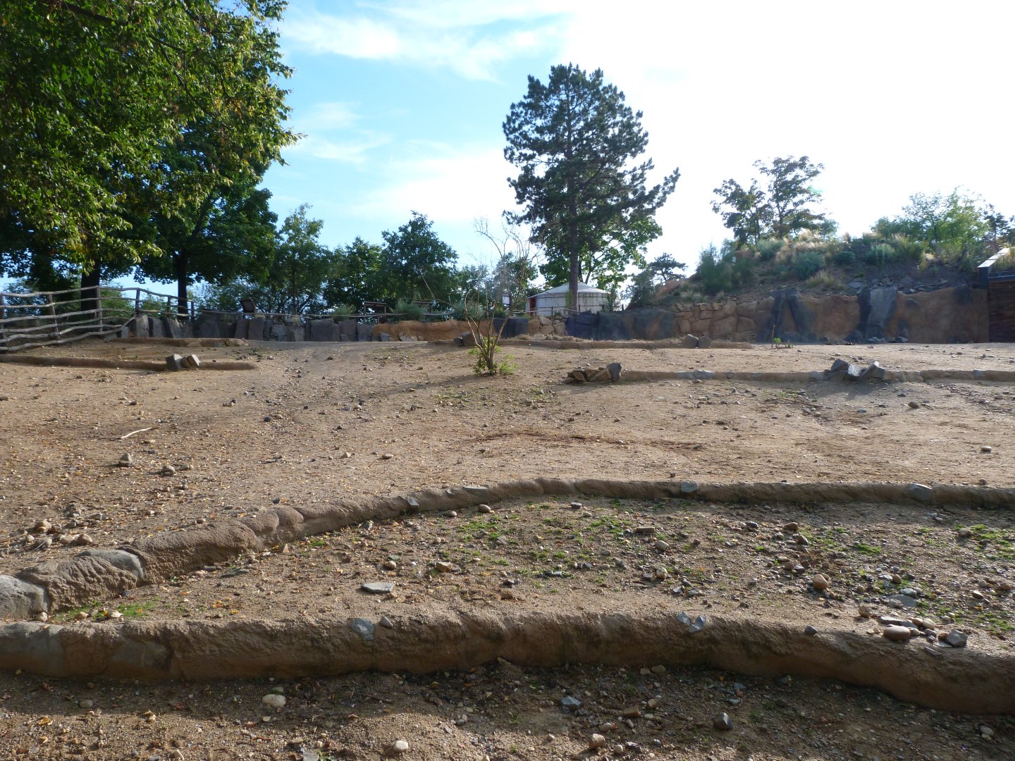 Przewalski's horse exhibit -Zoo Praha (2025)