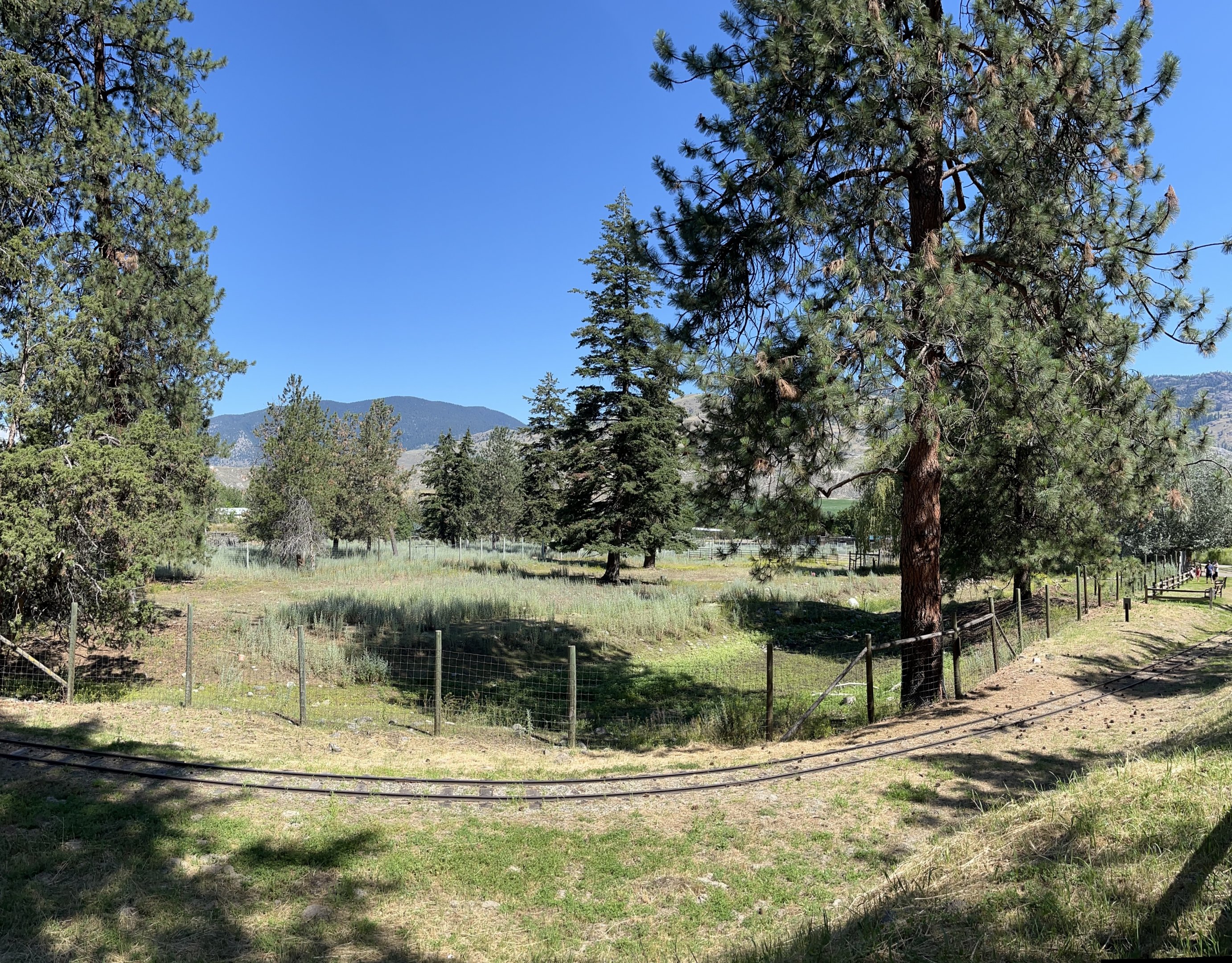 Przewalski’s Horse Exhibit
