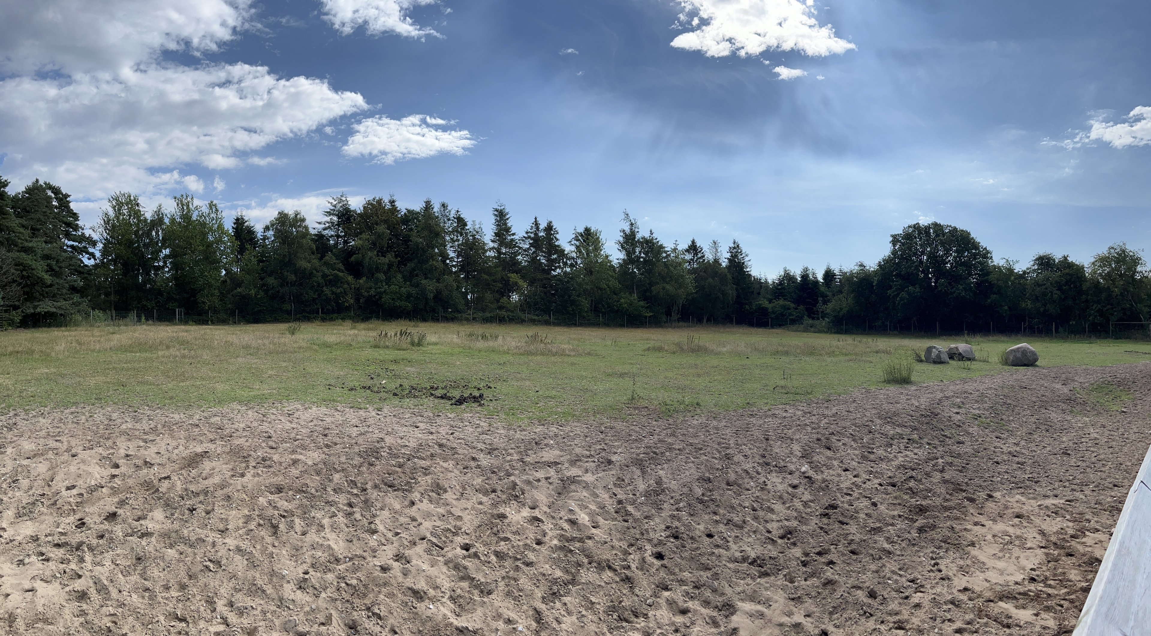 Przewalski’s Horse Exhibit