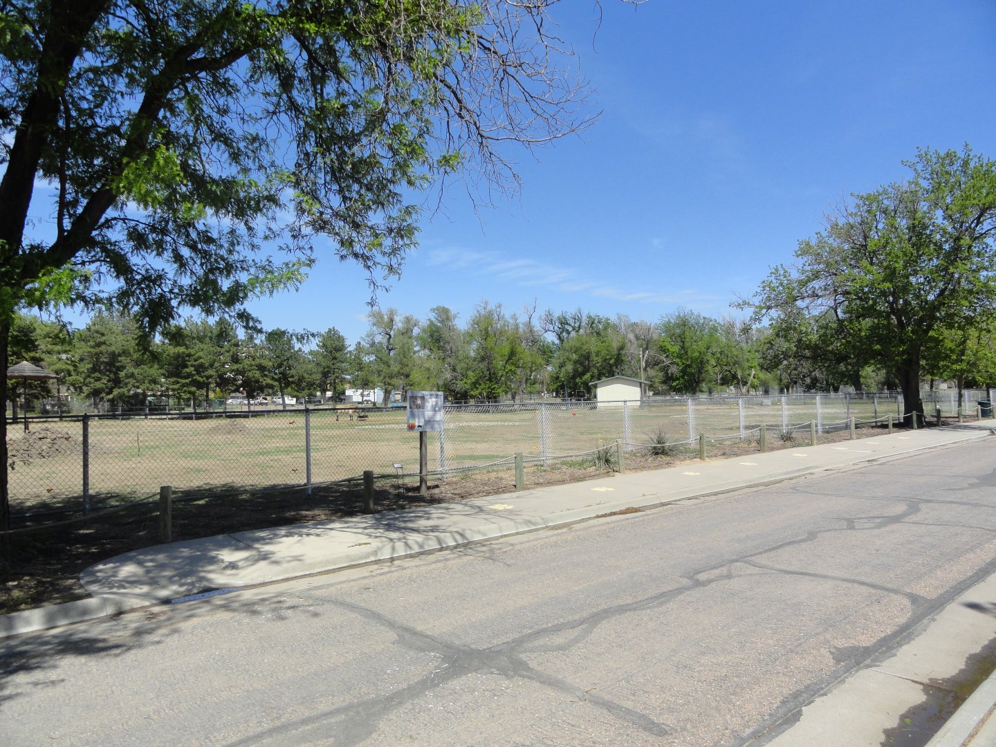 Przewalski's Horse Exhibit