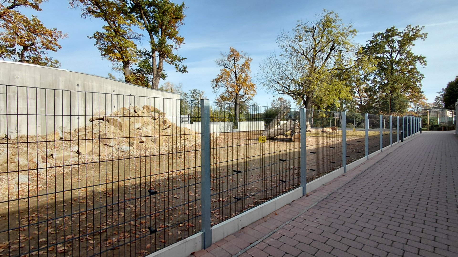 Przewalski's horse exhibit