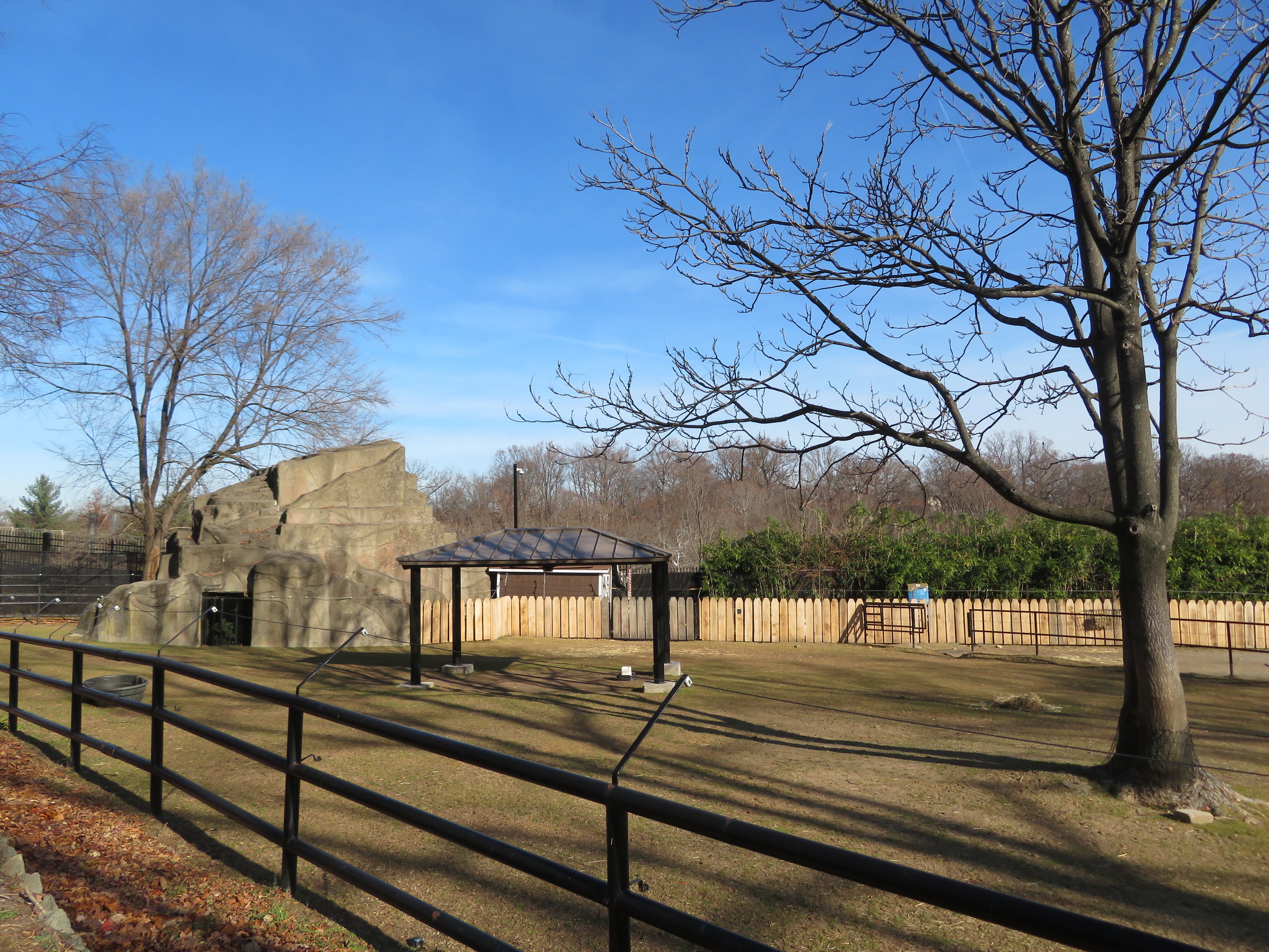 Przewalski's Horse Paddock