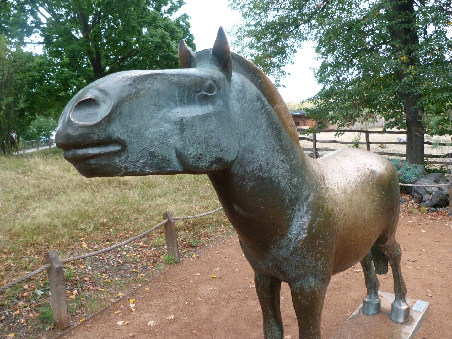 Przewalski's horse statue -Zoo Praha (2025)