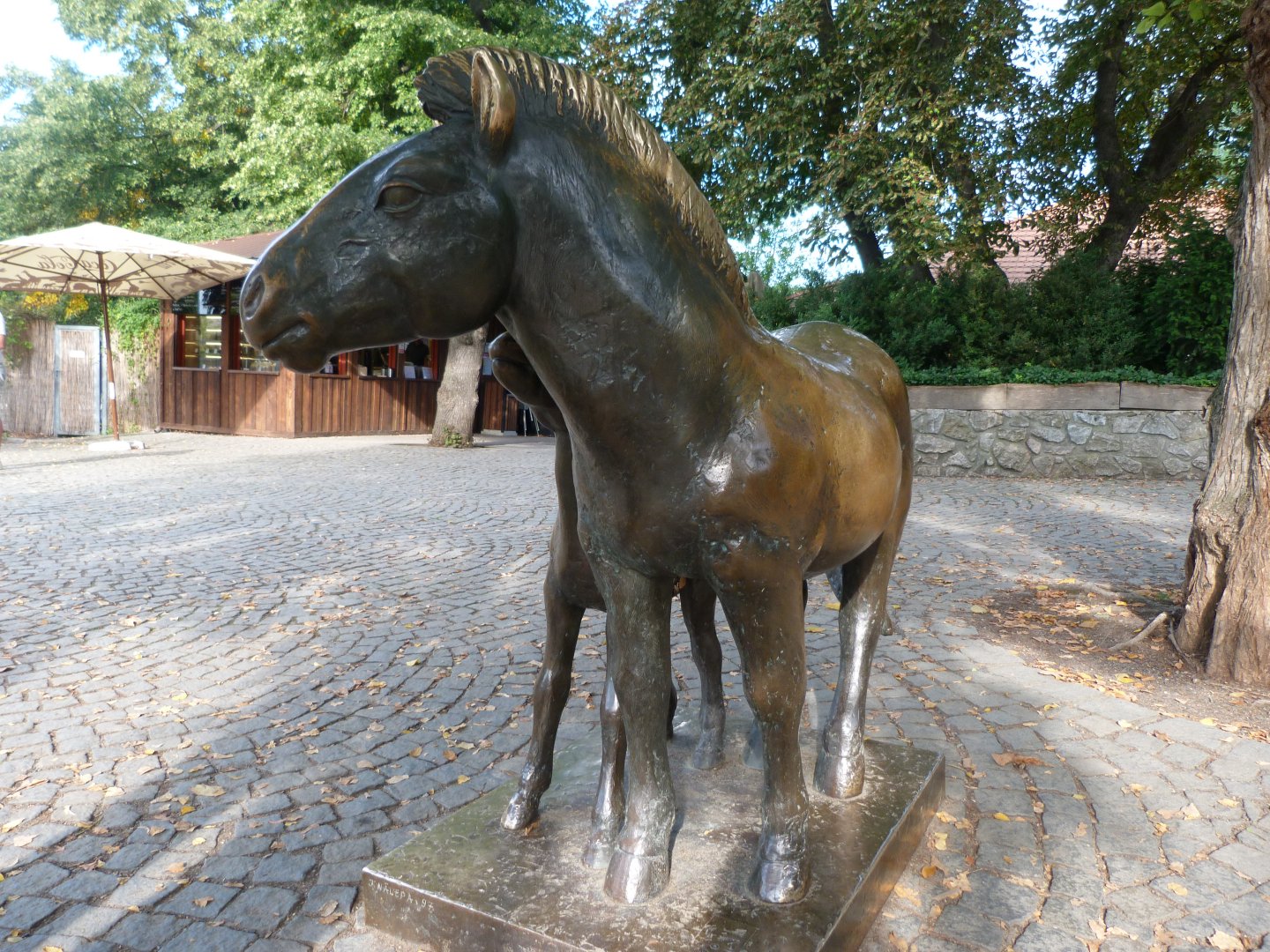 Przewalski's horse statue -Zoo Praha (2025)