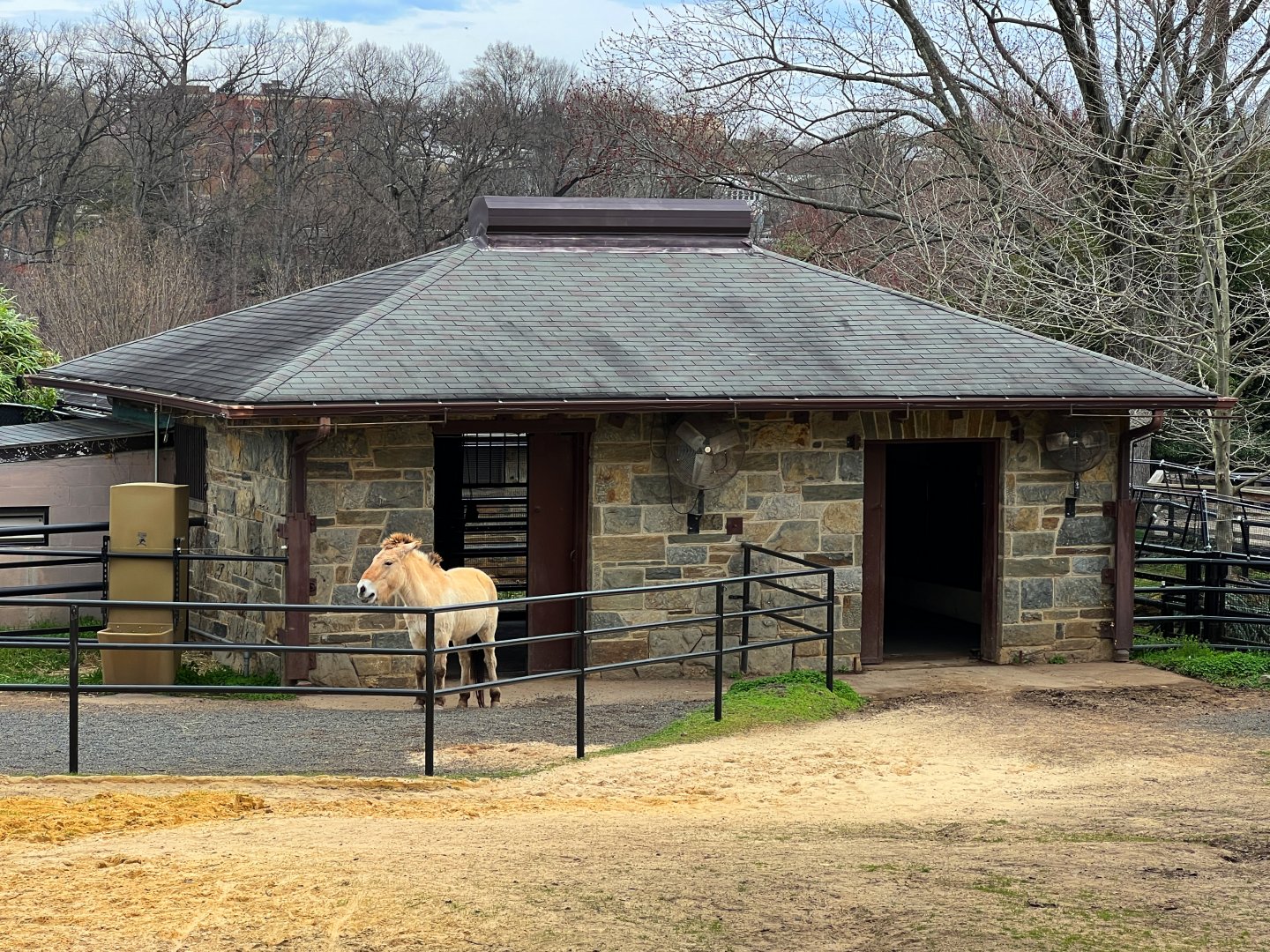 Przewalski's Wild Horse Barn