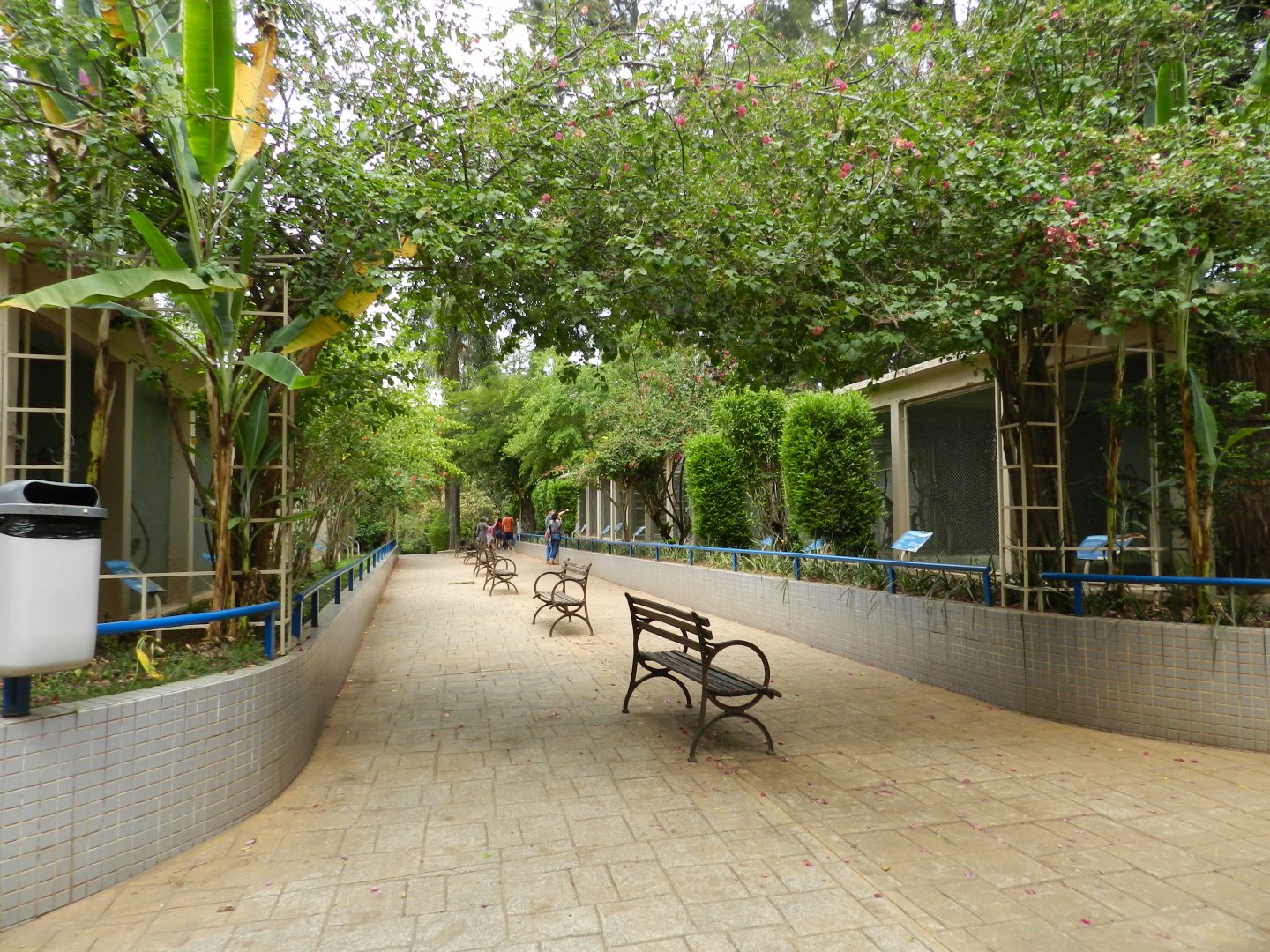 Psittacidae corridor - Sorocaba zoo (PZMQB)