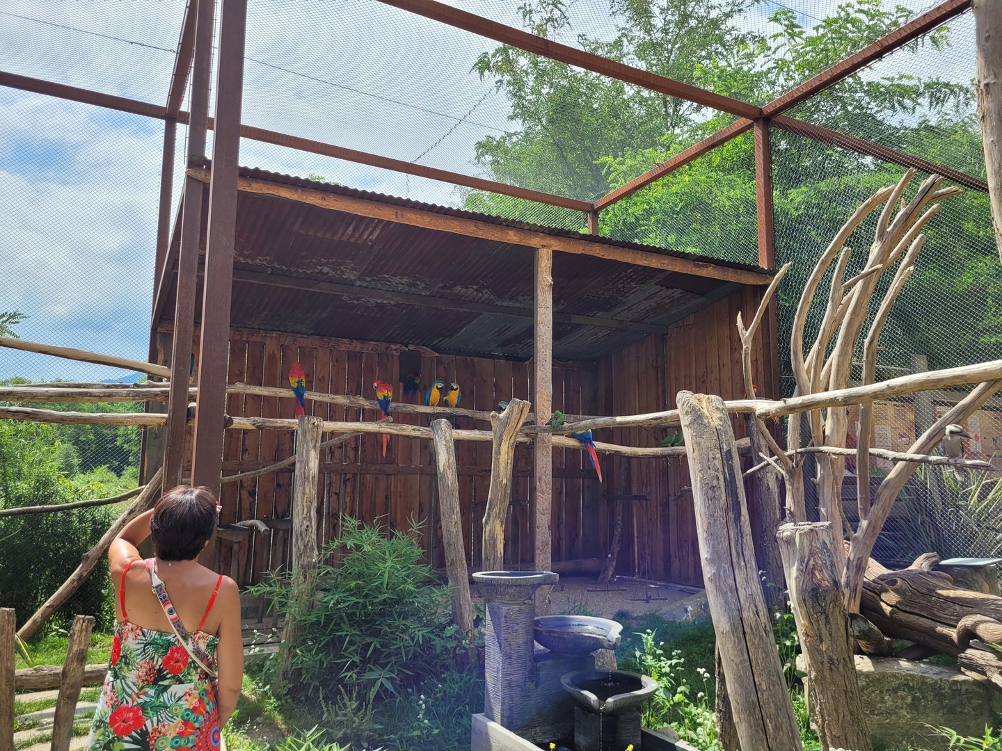 Psittaciformes exhibit -Parc Animalier des Pyrénées (2023)