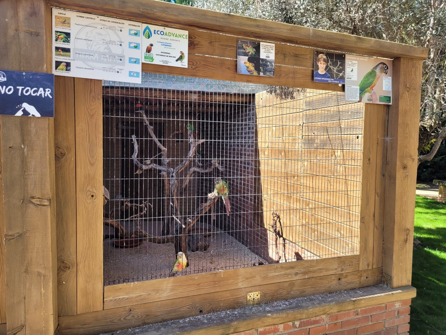 Psittaciformes exhibit -Tierra Rapaz (2024)