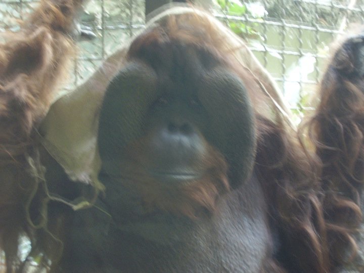 Pssst...there's a bag on your head.