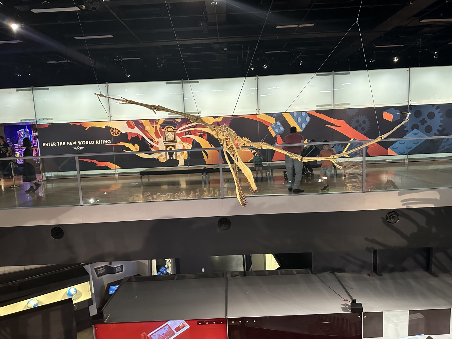 Pteranodon sternbergi