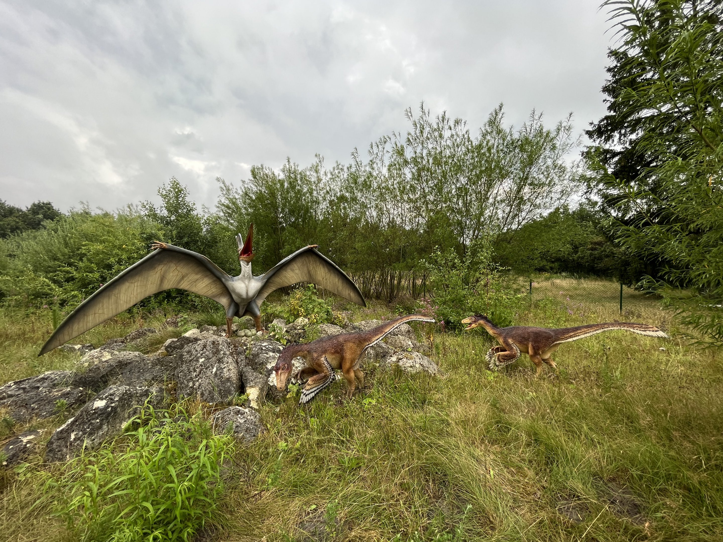 Pteranodon + Troodon