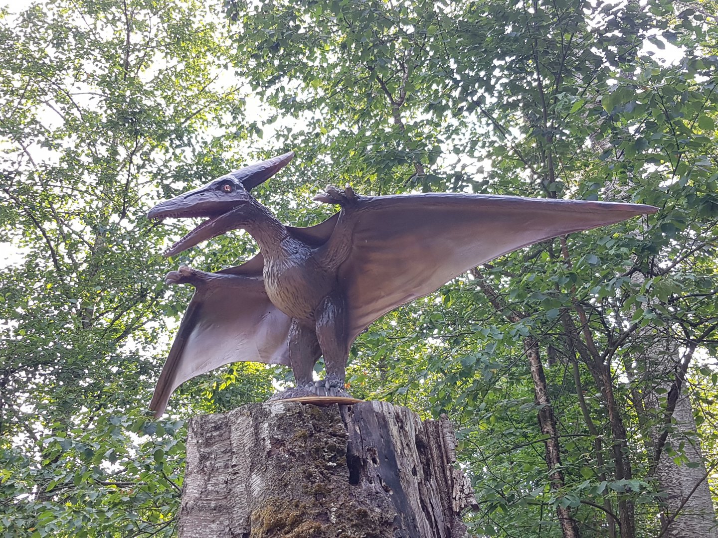 Pterodactylus
