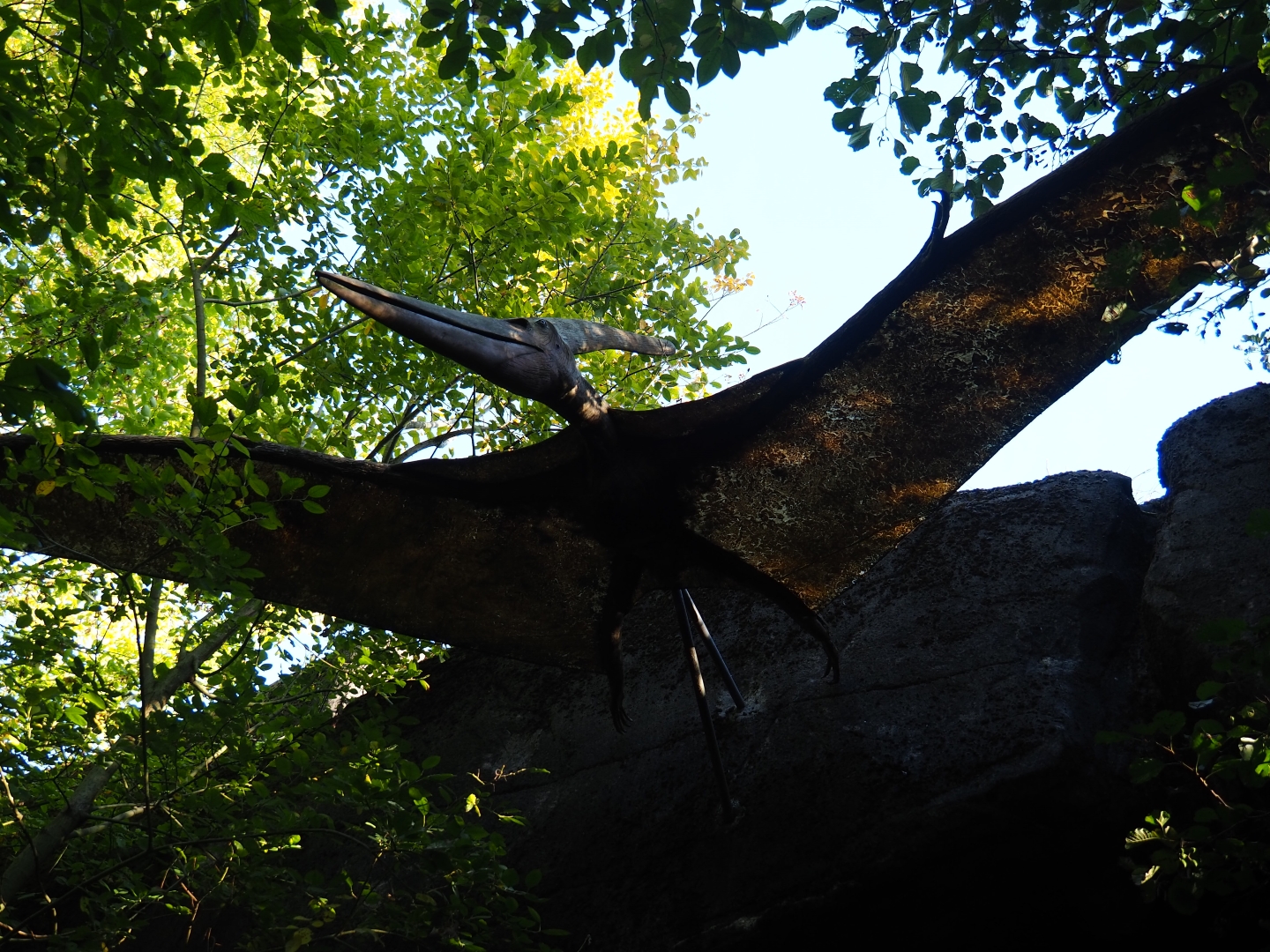 Pterosaur model (Oct 13th, 2018)
