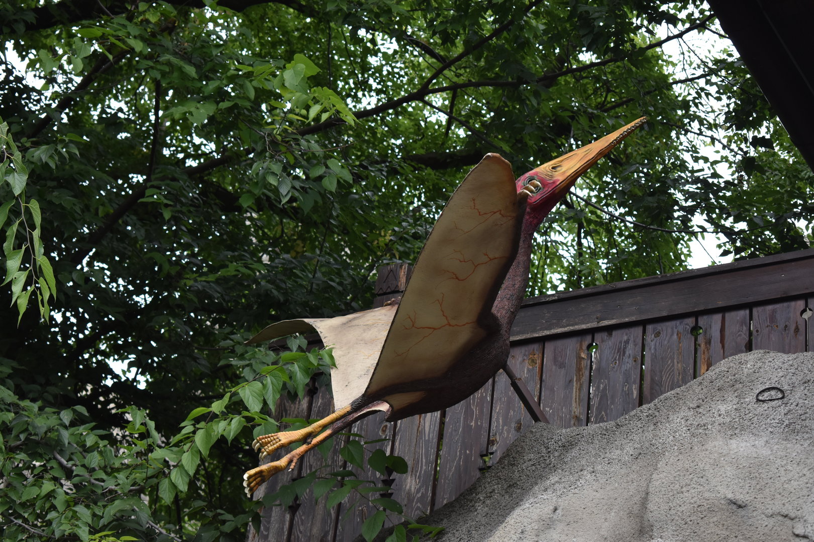 Pterosaur