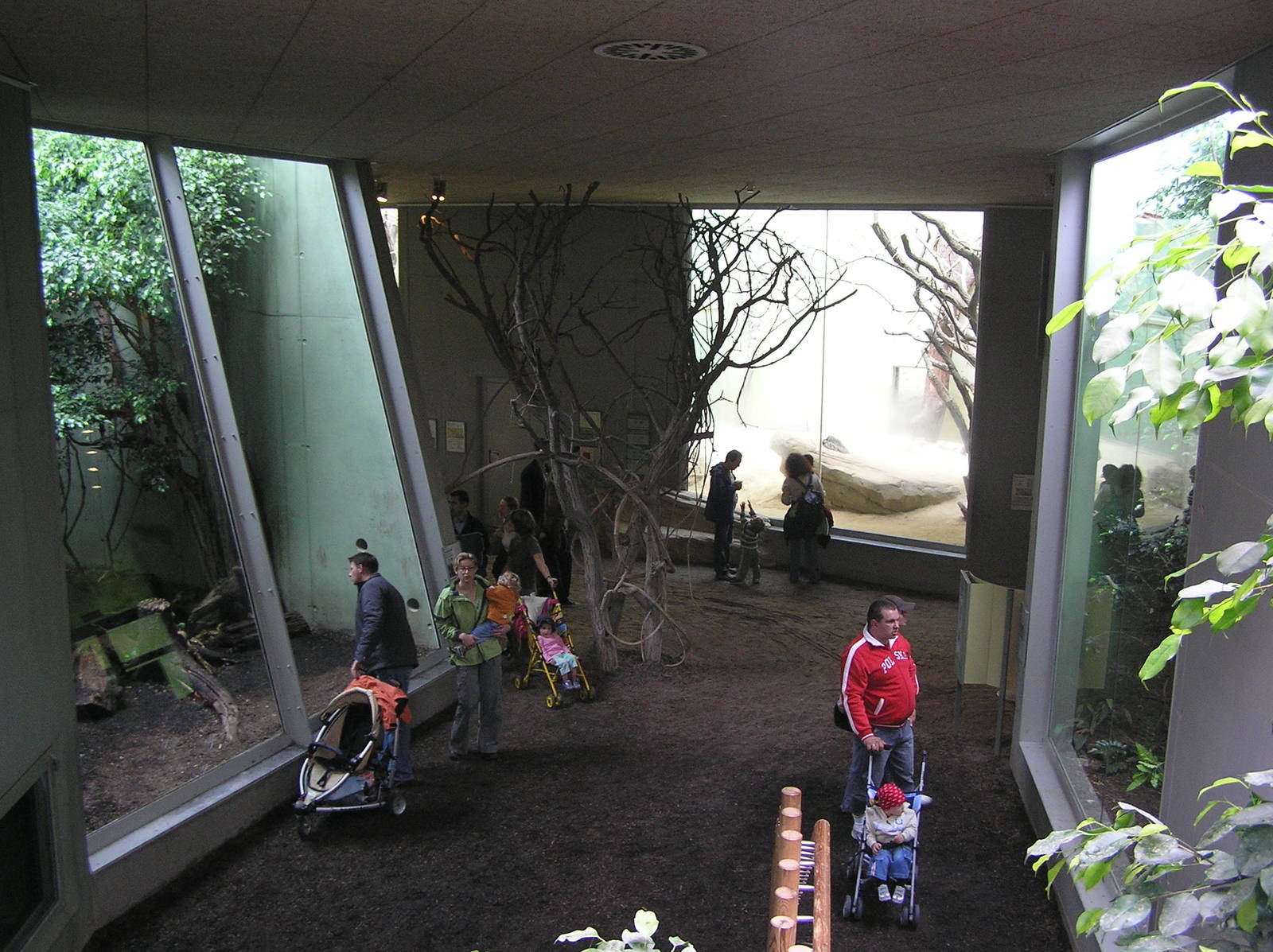 Public area inside asian cat house Frankfurt 06