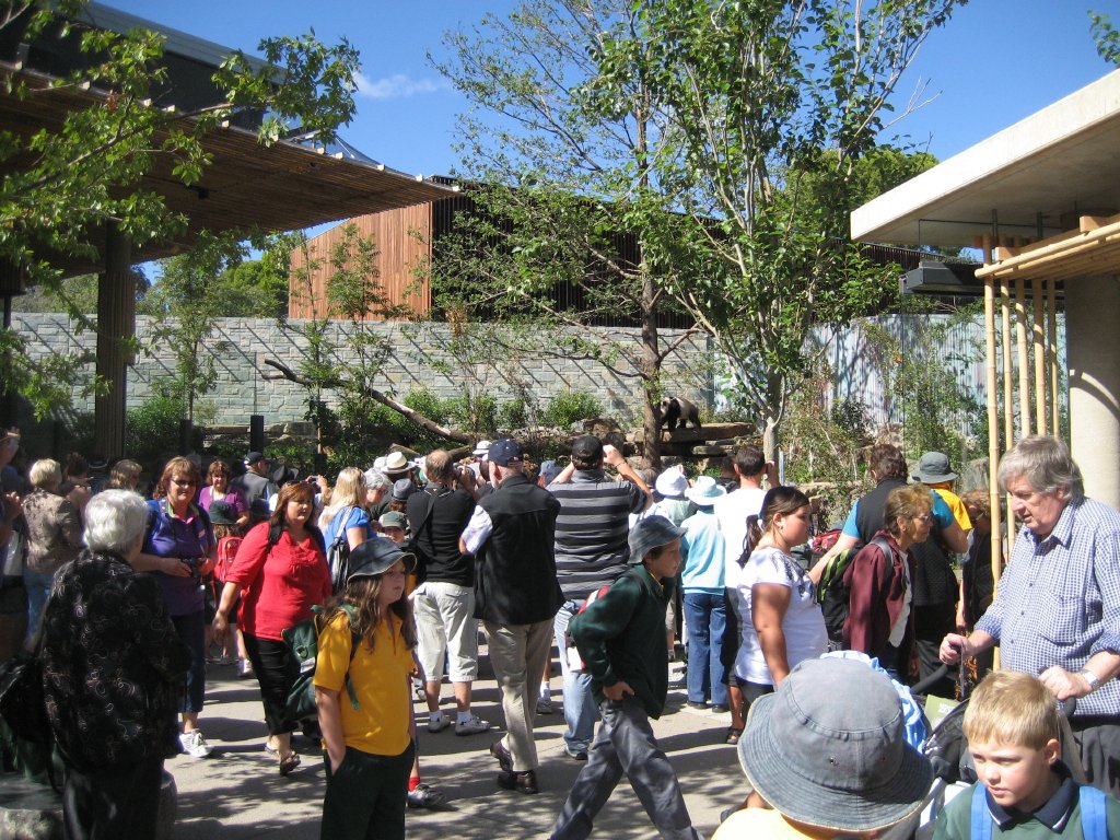 Public at the Giant Panda enclosure