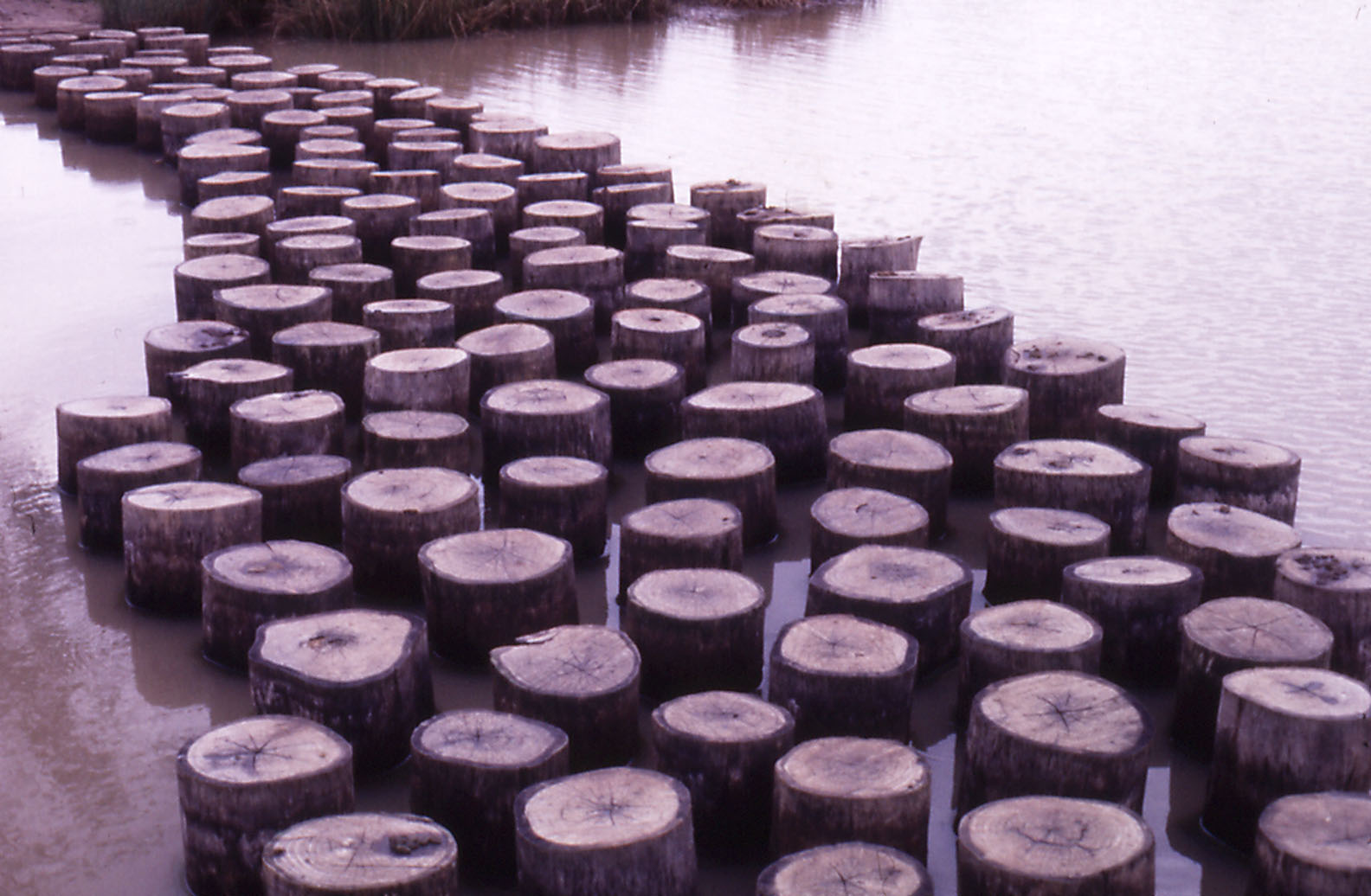 Public Bridge - 1984