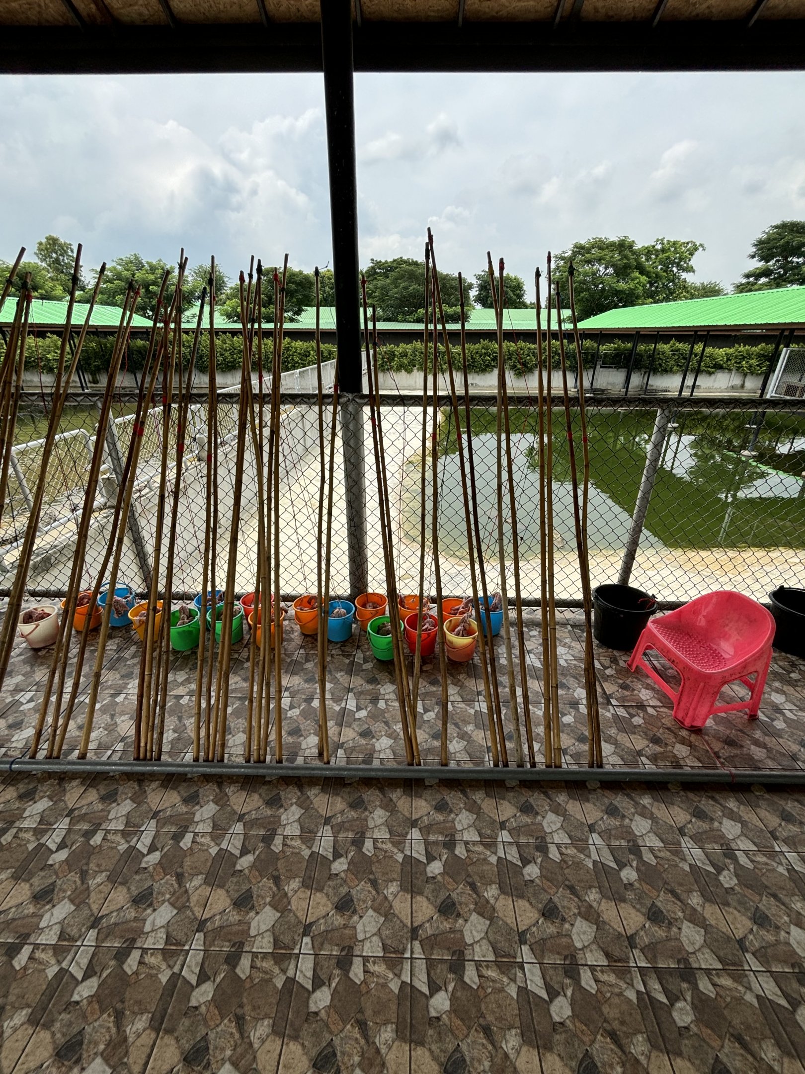 Public Croc Feeding Area - Lion Park