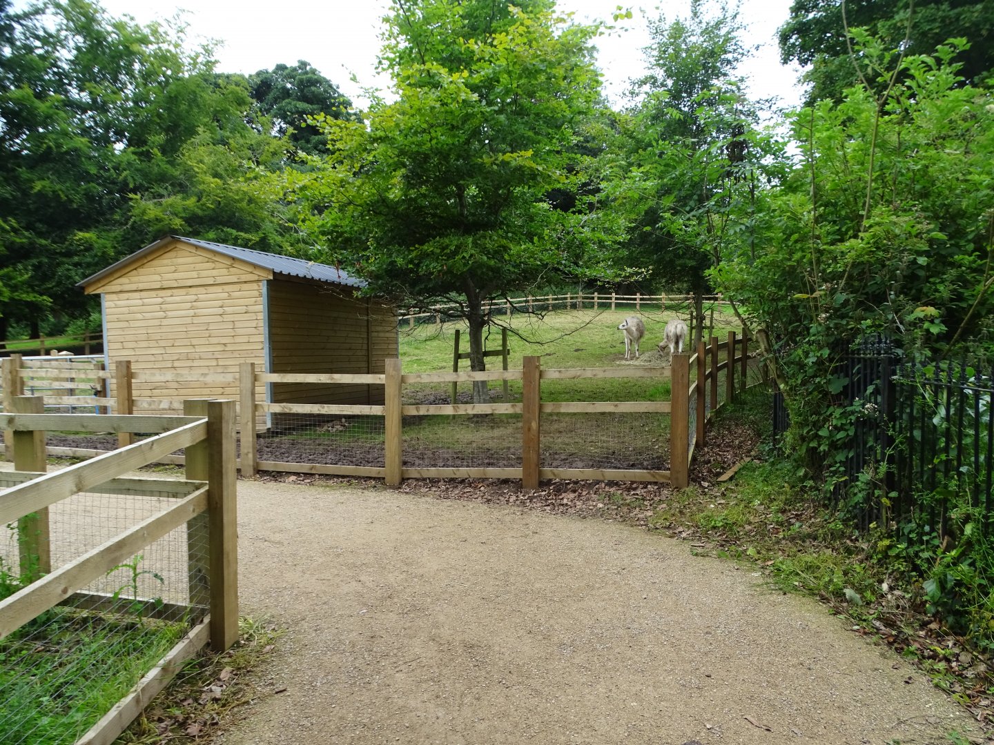 Public path through zoo extension, 16th July 2024